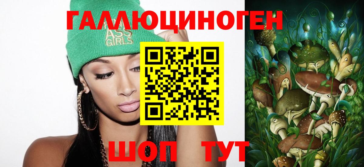 Галлюциногенные грибы GOLDEN TEACHER Кольчугино